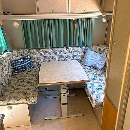 Camper Umma 풀라