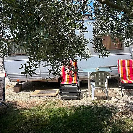 호텔 Camper Umma 풀라