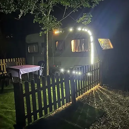 호텔 Camper Umma *